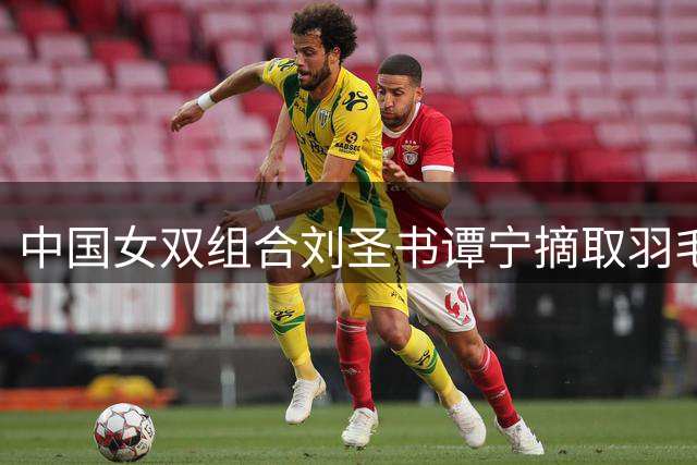中国女双组合刘圣书/谭宁摘取羽毛球世锦赛银牌